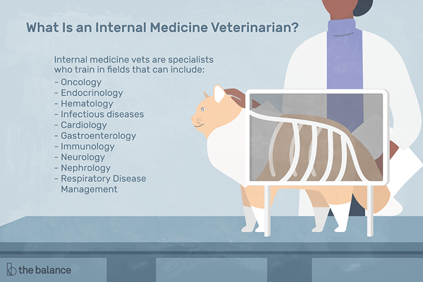 Que fait un vétérinaire de médecine interne?