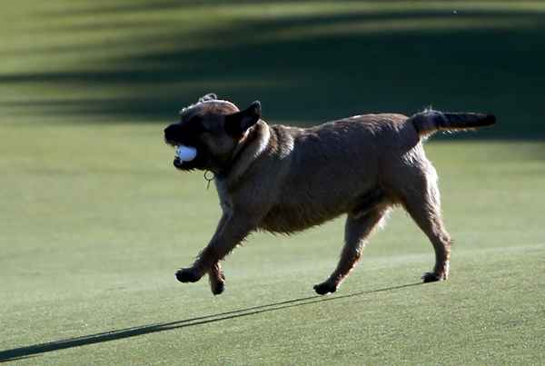 Was ist ein äußerer Einfluss im Golf?