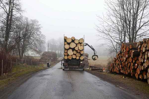 Onde encontrar logs para venda