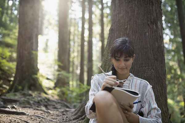 Esempi di allitterazione nella finzione