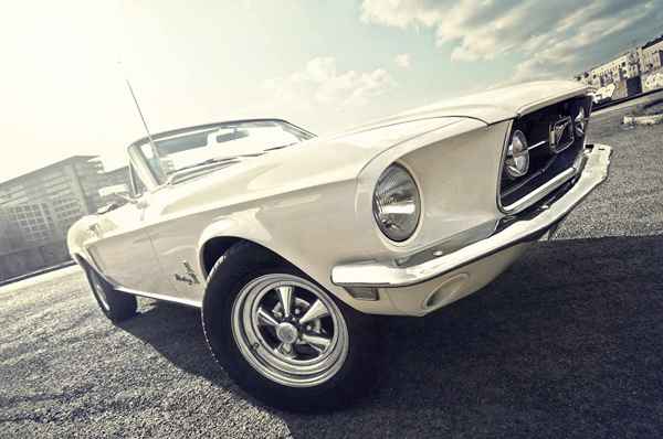 Propietarios de celebridades Mustang