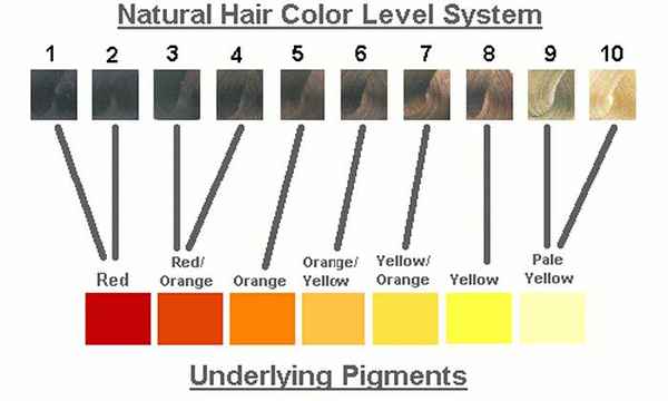 Graphique des pigments sous-jacents