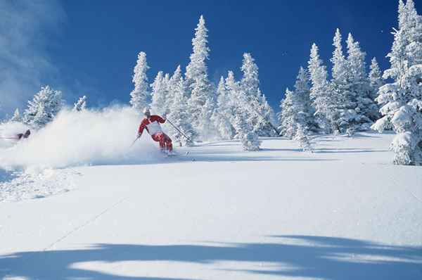 Acht Tipps zum sicheren Baum Skifahren