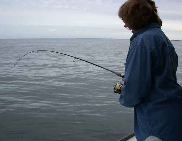 Linha de pesca a verdade sobre a força de quebra