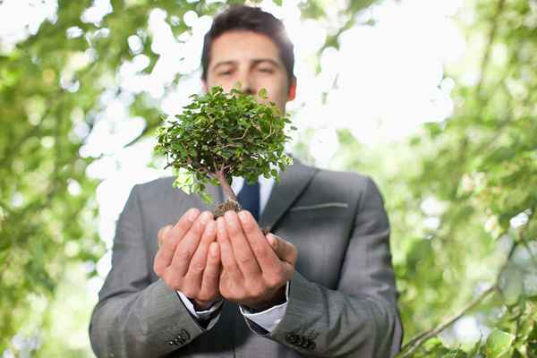 Forma un team verde per migliorare il tuo ambiente di lavoro