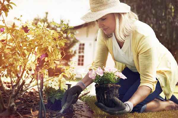 Cómo comenzar un negocio de jardinería