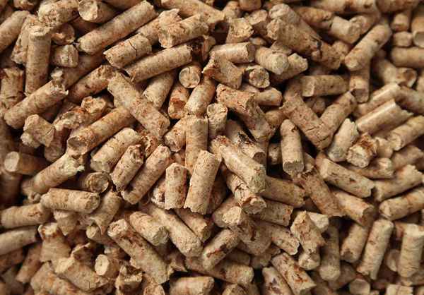 Fornitori di attrezzature per la produzione di pellet