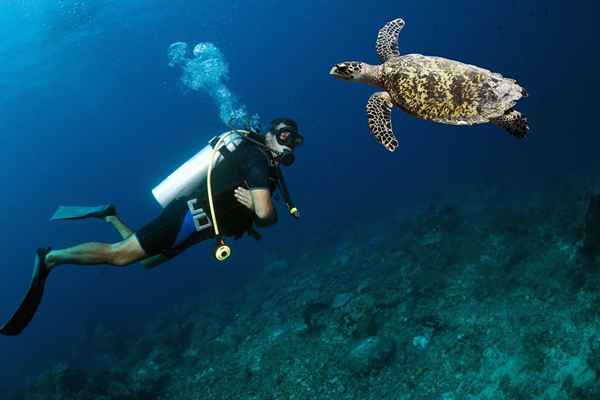 Prérequis pour l'âge et la santé de la plongée sous-marine