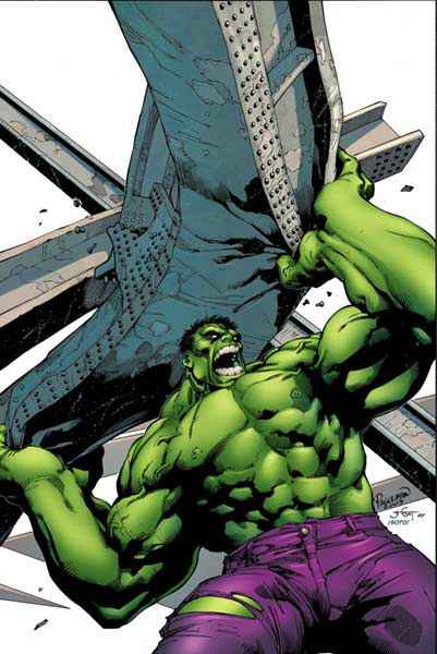 Profil des Hulks