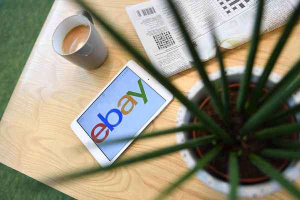 Vor- und Nachteile privater eBay -Listen