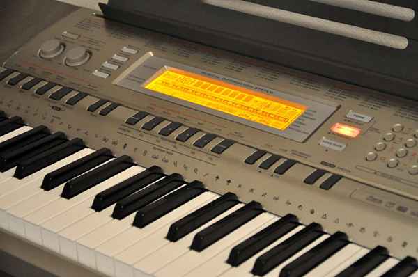 Überprüfung der Tastatur Casio WK-200