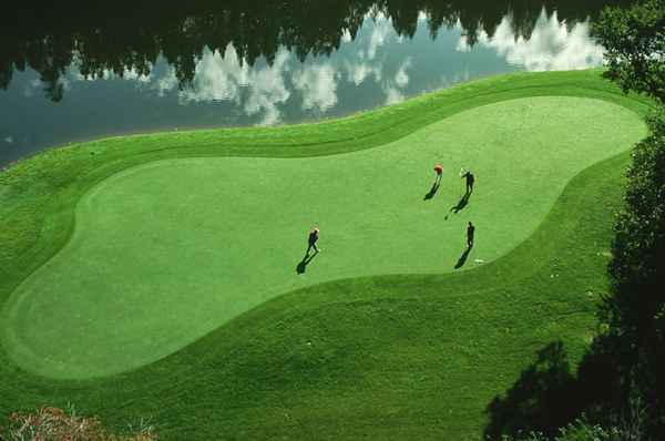 O torneio de golfe da Alliance Fourball