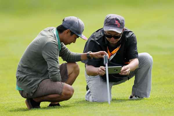 Il principale ruvido sui campi da golf