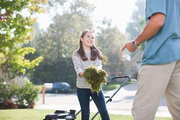 I pro e i contro degli adolescenti falciano i prati