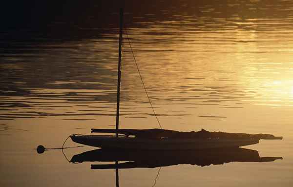 Il pesce solare è un lago perfetto o una barca a vela urbana