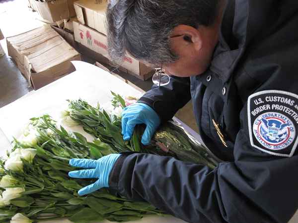 U.S. Información de trabajo especialista en agricultura de aduanas y protección fronteriza