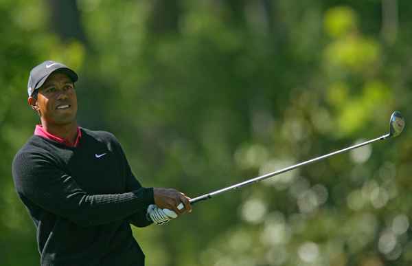 Quelles sont les approbations de Tiger Woods?