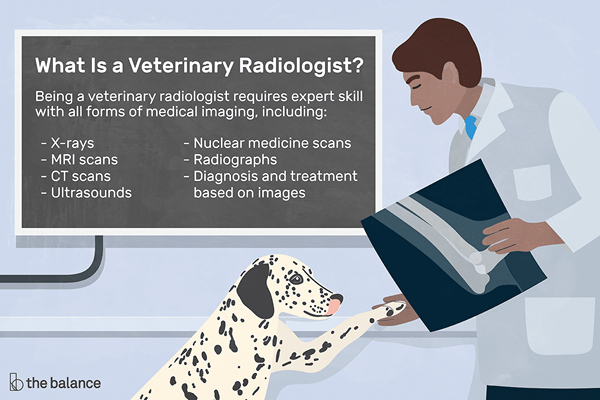 Que fait un radiologue vétérinaire?