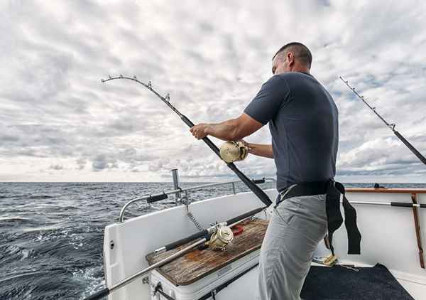 Wenn es der richtige Zeitpunkt ist, einen Fisch zu greifen