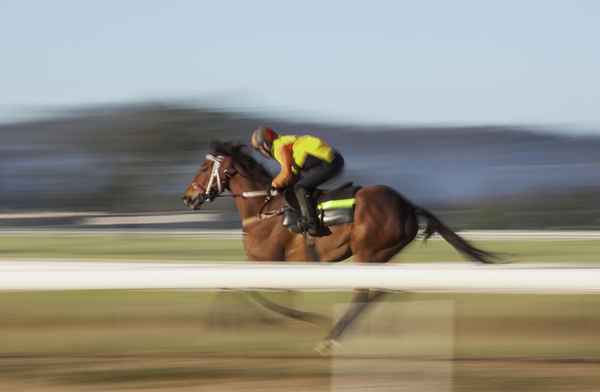 10 plus gros coups de feu du Kentucky Derby