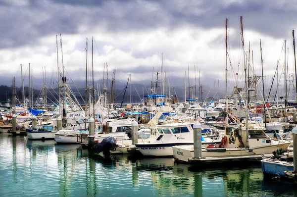 5 différents types de bateaux