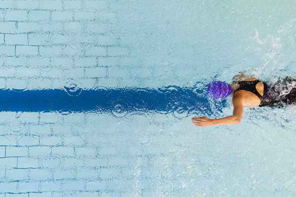 Programme de formation de natation de 8 semaines pour les débutants