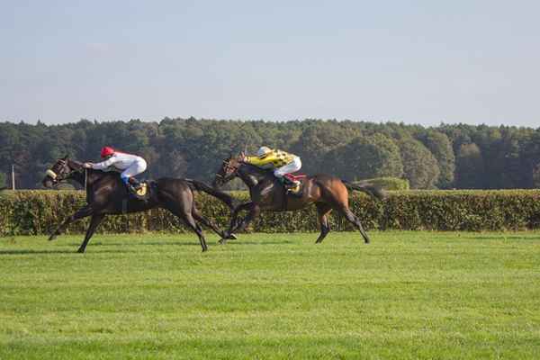 Un elenco per i migliori Jockeys del Kentucky Derby