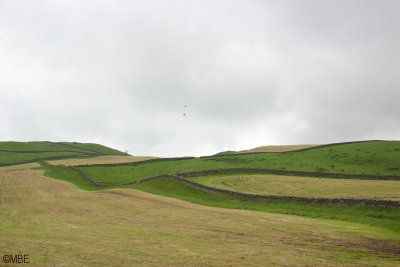 Peinture de paysage abstraite développant une idée