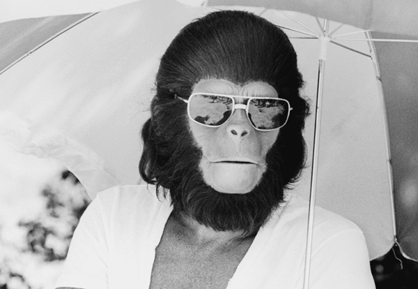 Biografia di Roddy McDowall, Planet of the Apes Star