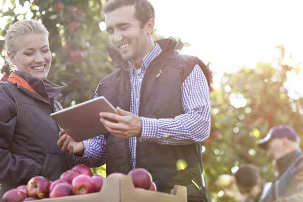 Geschäftsideen, um im Herbst Geld zu verdienen