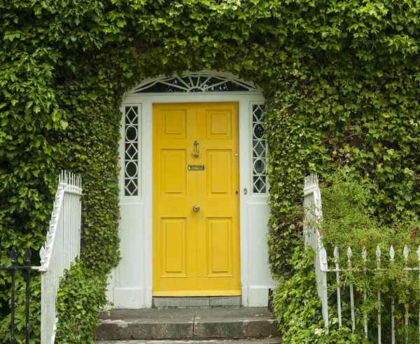 Décider entre la fibre de verre et les portes en bois pour votre maison