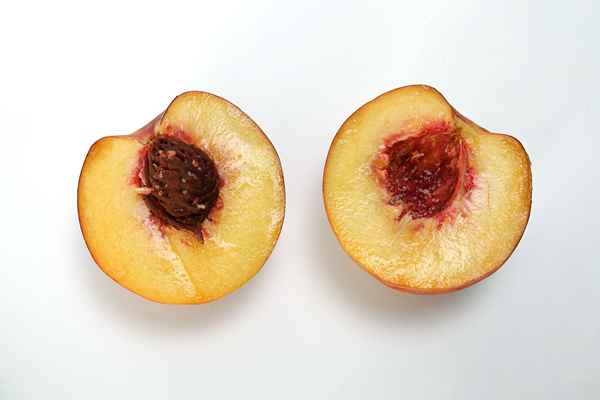 Easy DIY Peach Facial Scrub Rezept