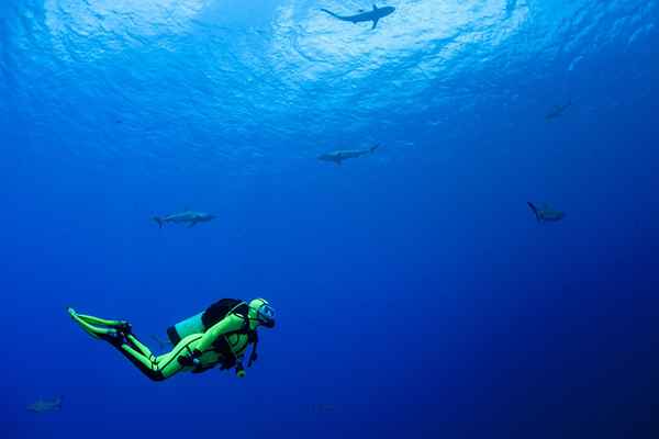 Linee guida per la decompressione di emergenza