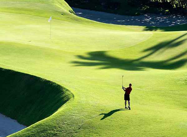 A regra 8 do golfe cobre tocando o campo enquanto você o encontra