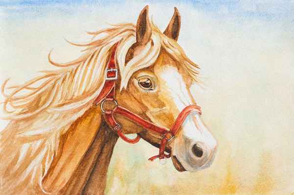 Demo di pittura a cavallo