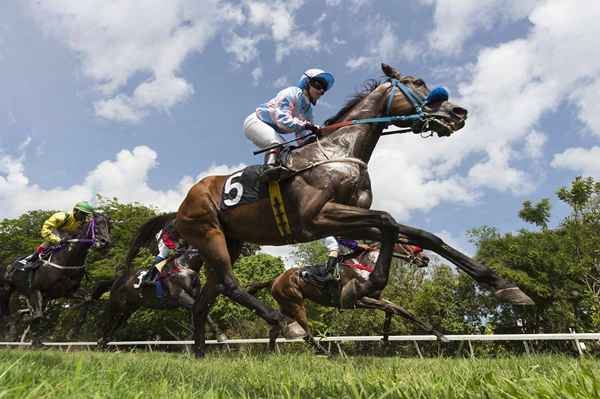 Cómo boxear una exacta en las carreras de caballos