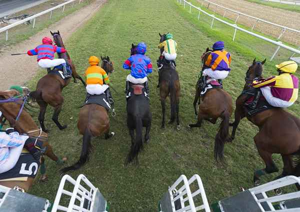 Cómo reclamar un caballo de carrera