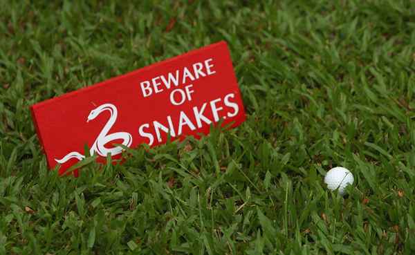 Hvordan spille Snake Golf Game and Wager