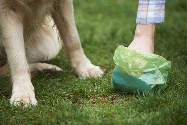 So starten Sie ein Pooper Scooper -Geschäft