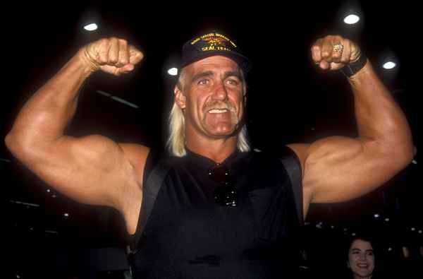 Hulk Hogan WWE und WCW Timeline