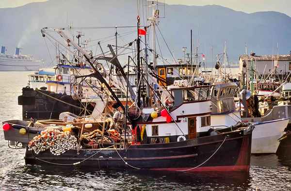 Aprenda tudo sobre trabalhos de pesca do Alasca