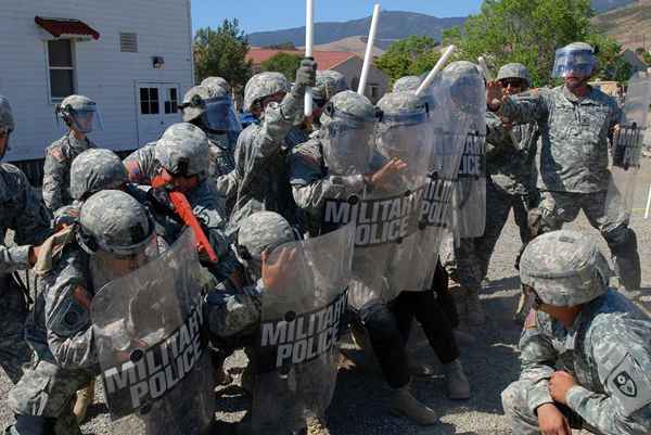 Información de carrera de la policía militar