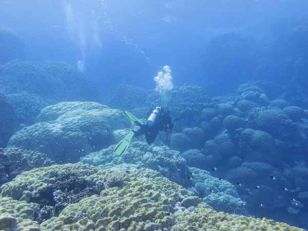 Barotraumais pulmonaire et plongée sous-marine