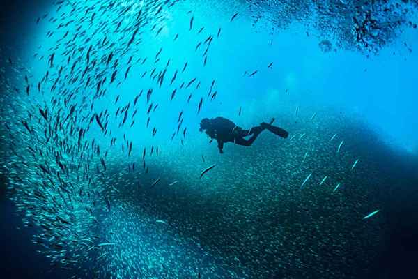 Exprimir en buceo