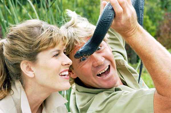 Steve Irwin, ambientalista y cazador de cocodrilos