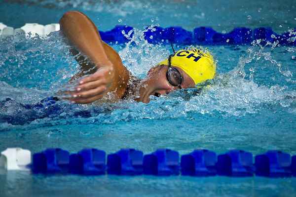 Distancia de natación por carrera y velocidad de trazo de natación