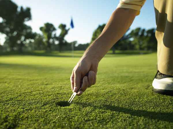 A ferramenta de divotos no golfe seus usos e como obter um