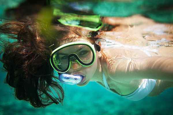 L'équipement essentiel pour la plongée sous-marine