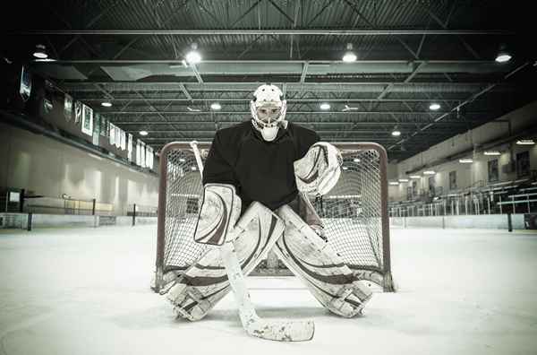 I dettagli del calcolo dell'obiettivo di cura delle statistiche nell'hockey