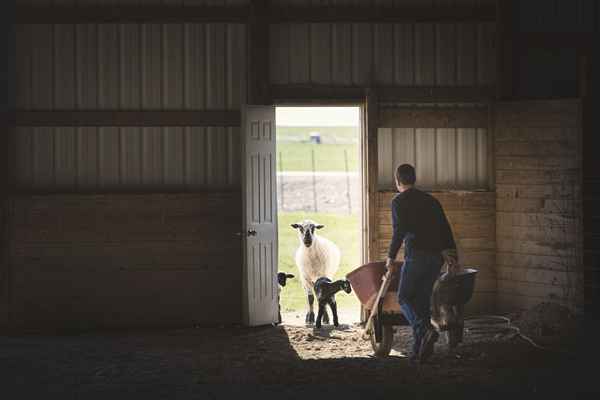 L'âge minimum pour travailler en Pennsylvanie